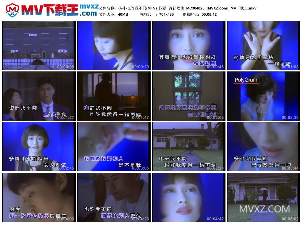 杨林-也许我不同(MTV)_国语_流行歌曲_MC304825